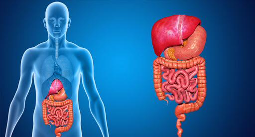 ERCP treatment